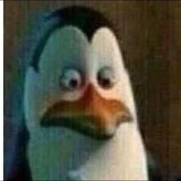 Meet your Posher, Cipriano - Picture 1 of 1